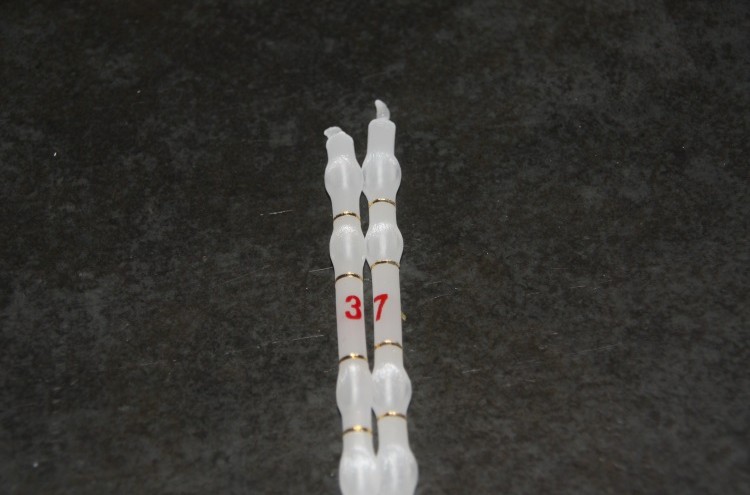 Comemoração do 37º Aniversário Comemoração do 37º Aniversário