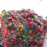 City Challenge Cofidis