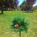 Teambuilding Equinócio - Jogos sem Fronteiras PWC